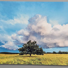 Hennessy, Tom Title: Big Meadows in Shenandoah National Park