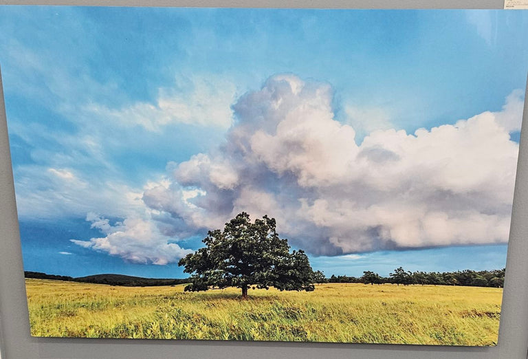 Hennessy, Tom Title: Big Meadows in Shenandoah National Park