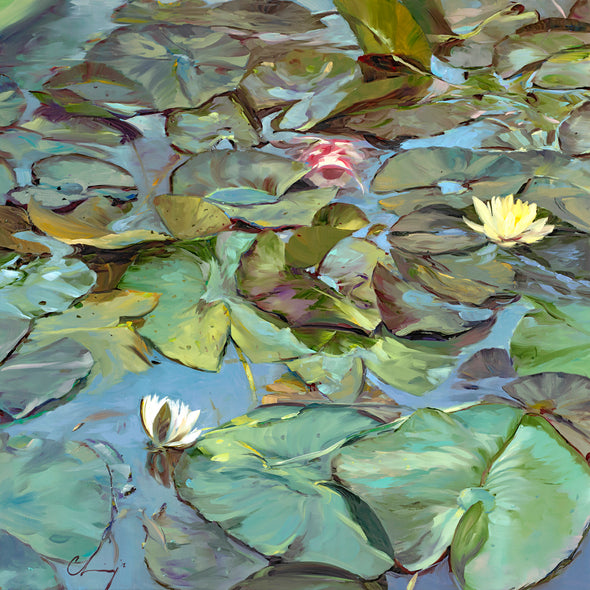 Chuck Larivey OPA Title: Amongst Lilies