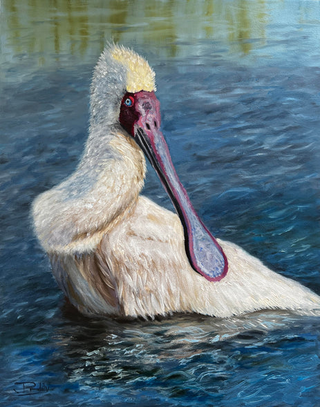 Jan Priddy Title: A Lovely Spoonbill