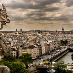 Ann Fulcher Title: Notre Dame Rooftop Gargoyle