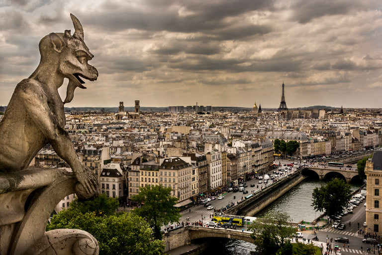 Ann Fulcher Title: Notre Dame Rooftop Gargoyle