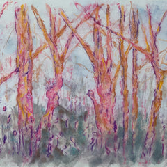 Diane Wilkin Title: Pink Glow - Sunrise