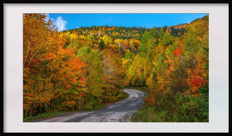 Evans, Martin Title: Fall's Curved Journey in Nova Scotia