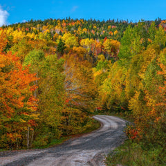 Evans, Martin Title: Fall's Curved Journey in Nova Scotia