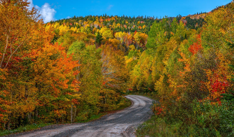 Evans, Martin Title: Fall's Curved Journey in Nova Scotia