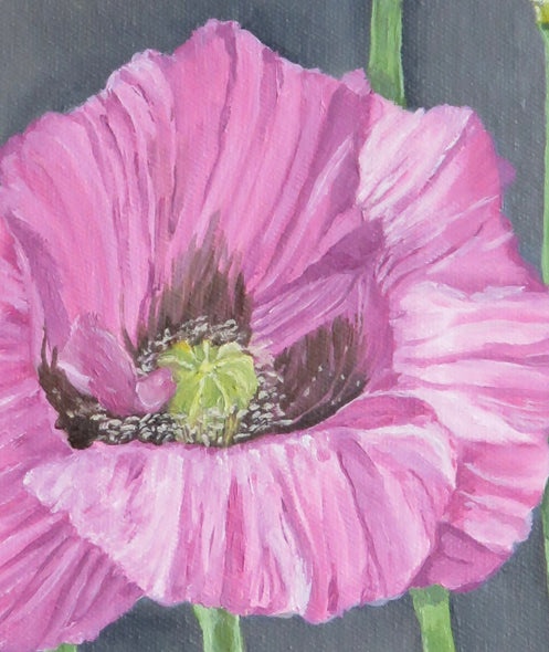 Gena Neidert Title: Pink Poppy