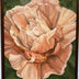 Gena Neidert Title: Terracotta Tulip