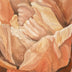 Gena Neidert Title: Terracotta Tulip