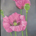 Gena Neidert Title: Pink Poppy