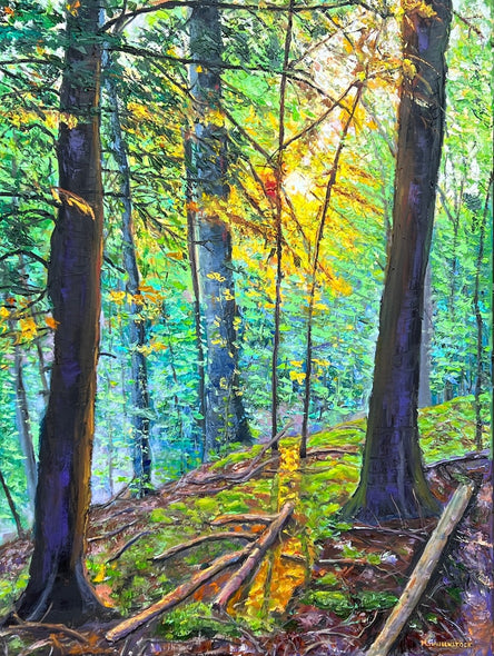 Mike Haubenstock Title: Dappled Depths