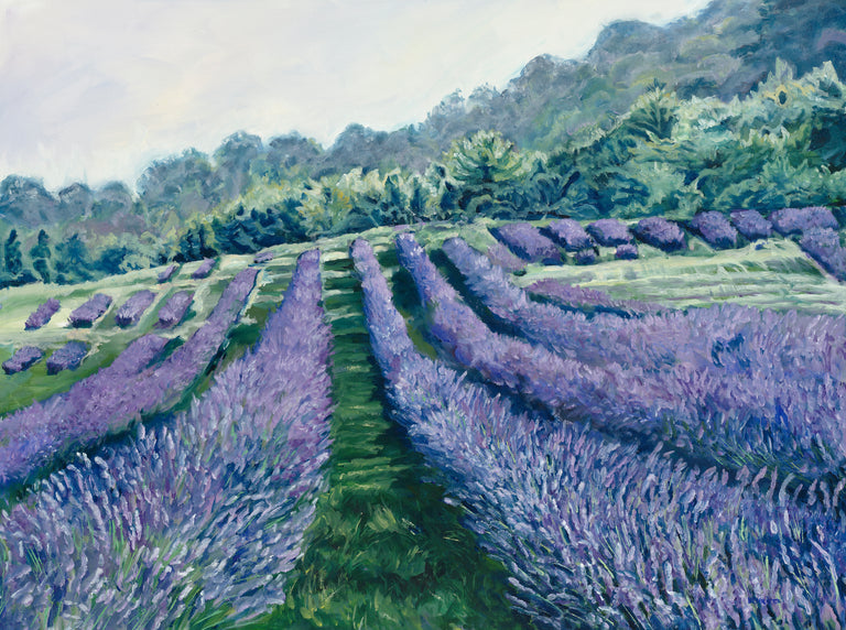 Henrietta Beightol Title: Where the Lavender Grows