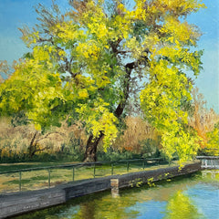 Linda Hollett-Bazouzi Title: Tree on the Kanawha Canal, Great Shiplock Park