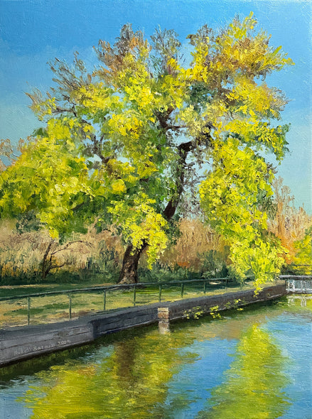 Linda Hollett-Bazouzi Title: Tree on the Kanawha Canal, Great Shiplock Park