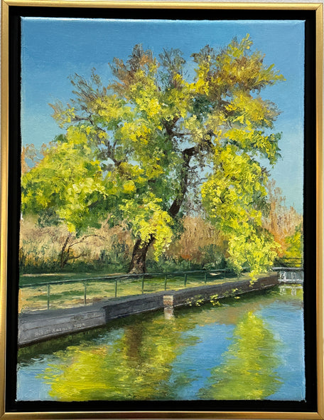 Linda Hollett-Bazouzi Title: Tree on the Kanawha Canal, Great Shiplock Park