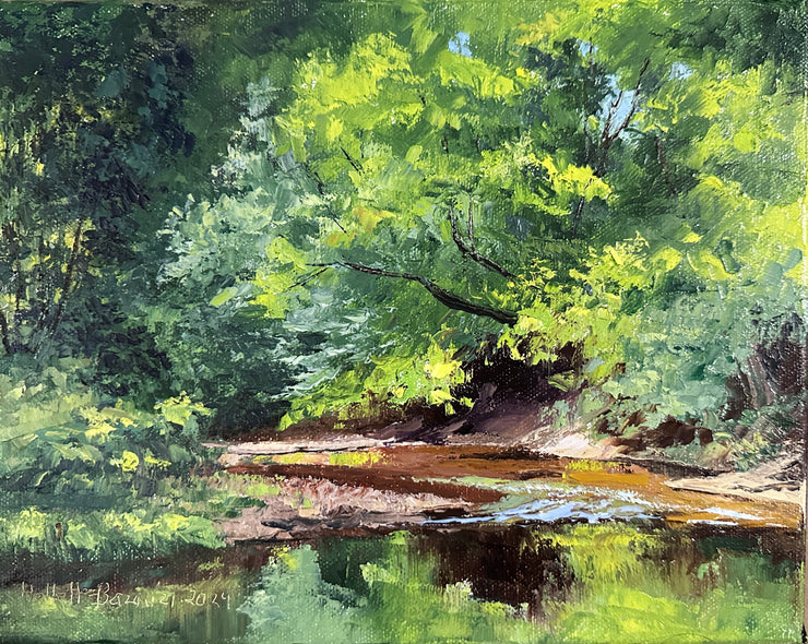 Linda Hollett-Bazouzi  Title: Summer Morning on Swift Creek