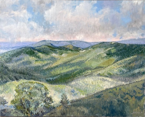 Janine Orr Title: Blue Ridge