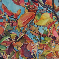 Jane Skafte Title: Copper Beech Tree