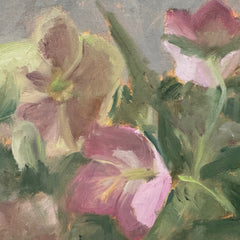 Haskell, Katy Title: Hellebore Study