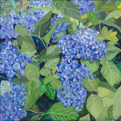 Kennedy, Jo Title: Blue Hydrangeas