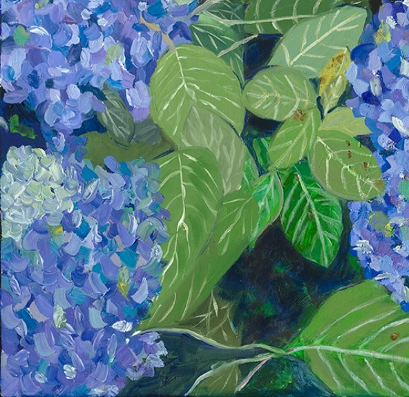 Kennedy, Jo Title: Blue Hydrangeas