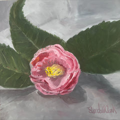 Linda W Clark Title: Camillia