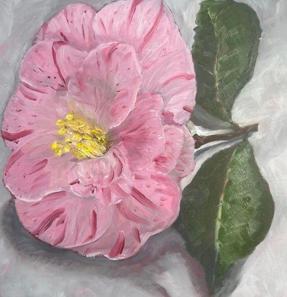 Linda W Clark Title: Pink Camillia