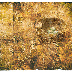 Cyane Lowden Title: Nest