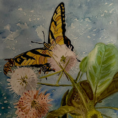 Lynda Edwards Title: Butterfly on the Pond