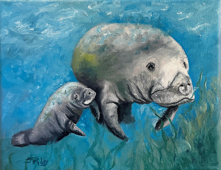 Jan Priddy Title: Manatees