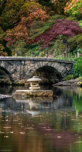 Munford, Patricia Title: November at Maymont