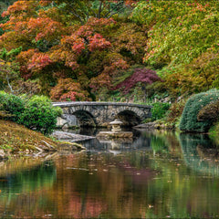 Munford, Patricia Title: November at Maymont