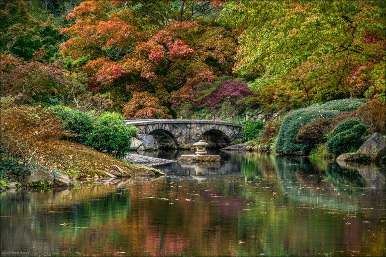 Munford, Patricia Title: November at Maymont