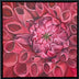 Neidert, Gina Title: The Crimson Dahlia