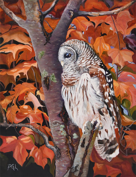 Pam Landreth Title: Barred Owl in Fall