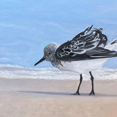 Pam Landreth Title: Ruffled Sandpiper