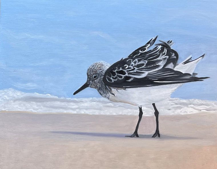 Pam Landreth Title: Ruffled Sandpiper