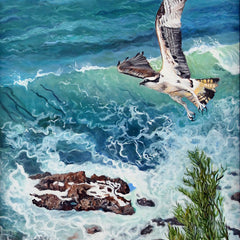 Pam Landreth Title: Sea Hawk