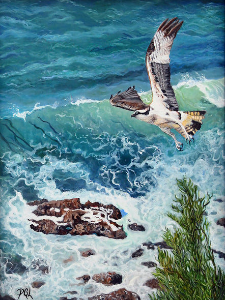 Pam Landreth Title: Sea Hawk