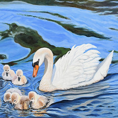 Pam Landreth Title: Swan Ripples