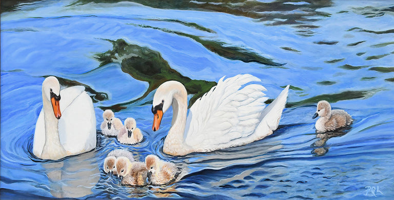 Pam Landreth Title: Swan Ripples