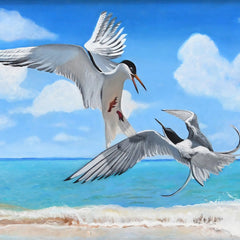 Pam Landreth Title: Tern Dance