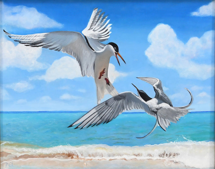 Pam Landreth Title: Tern Dance