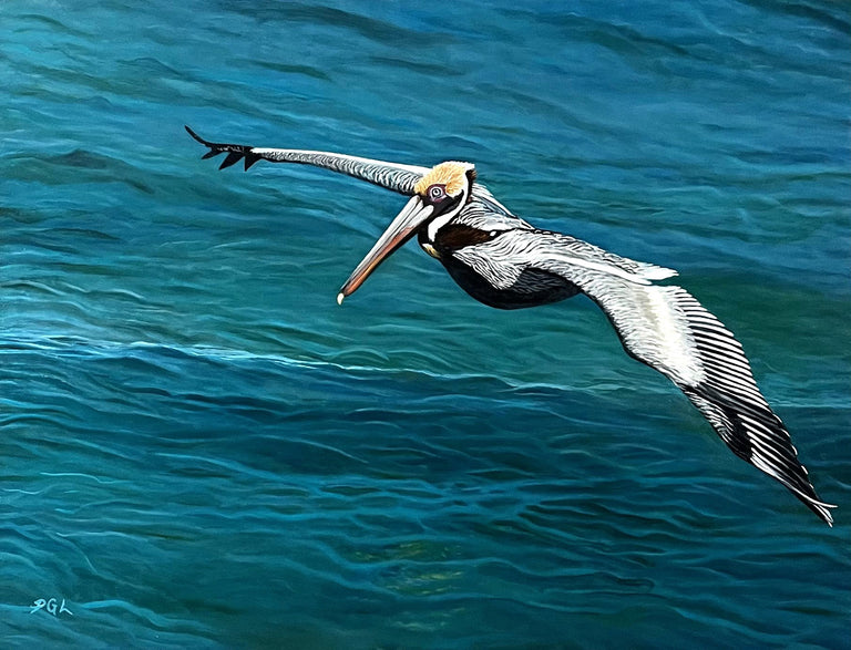 Pam Landreth Title: The Pelican Glide