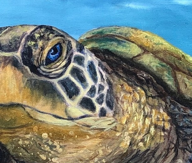 Priddy, Jan Title: The Grand Sea Turtle