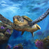 Priddy, Jan Title: The Grand Sea Turtle