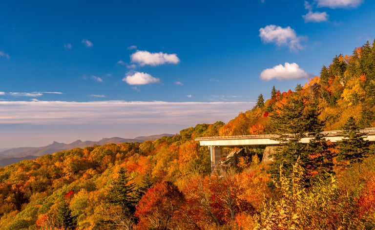 Santosh, Venkat Title: Linn Cove Viaduct