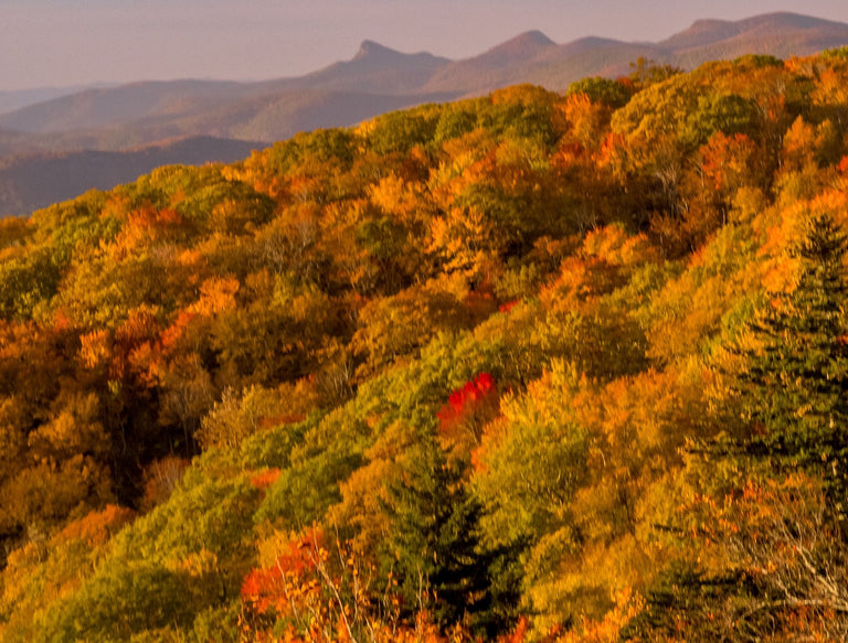 Santosh, Venkat Title: Linn Cove Viaduct