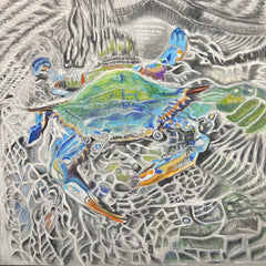 Fiedler, Scott Title: Blue Crab