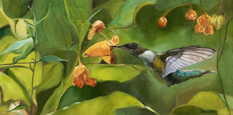 Paula Smith Title: Hummingbird on Jewel Weed